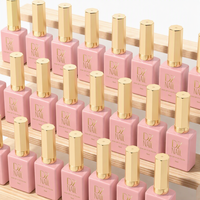 Collection de gels pigmentés UV OEM&ODM Automne-Hiver, gel à ongles professionnel pour salon, sans HEMA ni TPO