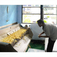 Commerciële friteuse voor de productie van aardappelchips, frieten en gebakken snacks