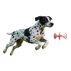 Localizador GPS Avanzado para Mascotas, Perros, 4G, AGPS, Compatible con iOS y Android, Equipo de Rastreo Inteligente Diario - Product Image 3