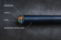 Cable de Control Multifilar Resistente al Fuego Cu/XLPE/LSZH, Núcleo de Cobre de 6.0mm, Aislamiento XLPE, Revestimiento LSZH