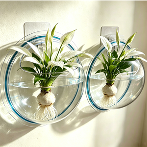 Vase suspendu hydroponique transparent de qualité supérieure, sans perçage, auto-adhésif, pour plantes murales, idéal pour les bureaux modernes - Product Image 1