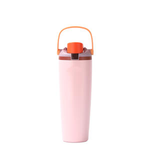 Nouvelle Tasse Thermique à Fruits Style Moderne Portable en Acier Inoxydable Double Couche Vente en Gros - Product Image 3