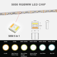 DC 12V 24V RGB CCT RGBCCT RGBW RGBWW lumière 5M 300LED SMD 5050 blanc chaud bleu couleur unique prix des bandes lumineuses LED flexibles