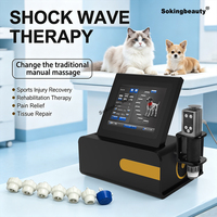 Appareil de thérapie électronique magnétique à ondes de choc personnalisable, équipement de massage corporel par ondes de choc pour animaux de compagnie