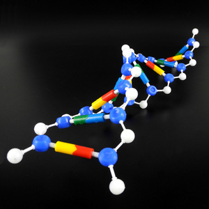 Modelo de estructura de doble hélice del ADN, material genético y variación, instrumentos de enseñanza de biología para secundaria y experimentos. - Product Image 3