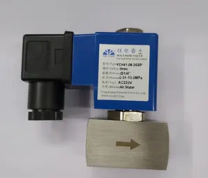 YONG CHUANG elettrovalvola solenoide YCH41-09-2GBP G1/4 YCH41-09-4GSP G1/2 AC220V DC24V DC12V AC380V YONGCHUANG elettrovalvola a solenoide Co.,Ltd