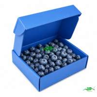 Duurzame blauwe 3mm holle gegolfde PP plaatdoos 1m*1m milieuvriendelijk UV-bestendig aanpasbaar voor fruitopslag