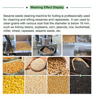 Machine à laver le sésame 1000 kg/h, machine de nettoyage des graines de sésame à vendre, machine de nettoyage des graines de maïs, haricots, millet, riz, cumin, sésame
