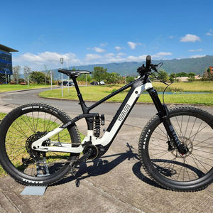 Bicicleta Eléctrica de Montaña de Carbono de <span class=keywords><strong>29</strong></span> Pulgadas 48V Batería de Litio 840Wh Suspensión Total Motor Central Bafang 250W 500W para Hombre - Product Image 1