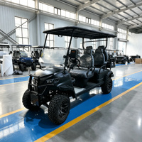 Voiturette de golf électrique tout-terrain 6 places, châssis en acier, contrôleur Curtis, batterie au plomb-acide 72V avec option de mise à niveau au lithium