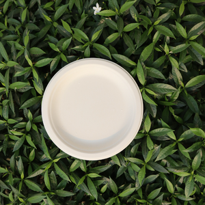 Plato desechable STAVIAN 100% Biodegradable Ecológico a base de plantas Tamaños personalizados 6 pulgadas Color blanco natural Buena calidad para - Product Image 1