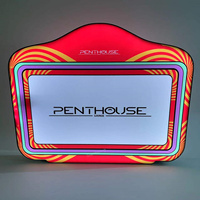 Panneau d'affichage VIP LED rechargeable personnalisé en usine pour la fête d'anniversaire Discothèque