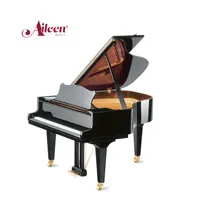 Black Polished Acoustic Silent Piano, 88 Keys Grand Piano