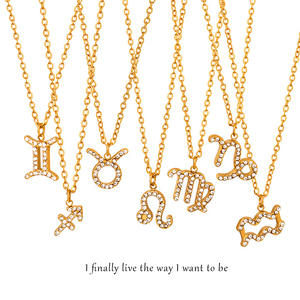 Stainless Steel Zodiac Necklace <b>Cross</b> Border Multi Reliable Direct Factory Quote Electrophoretic Coating Vacuum Plating Standard - Product Image 1