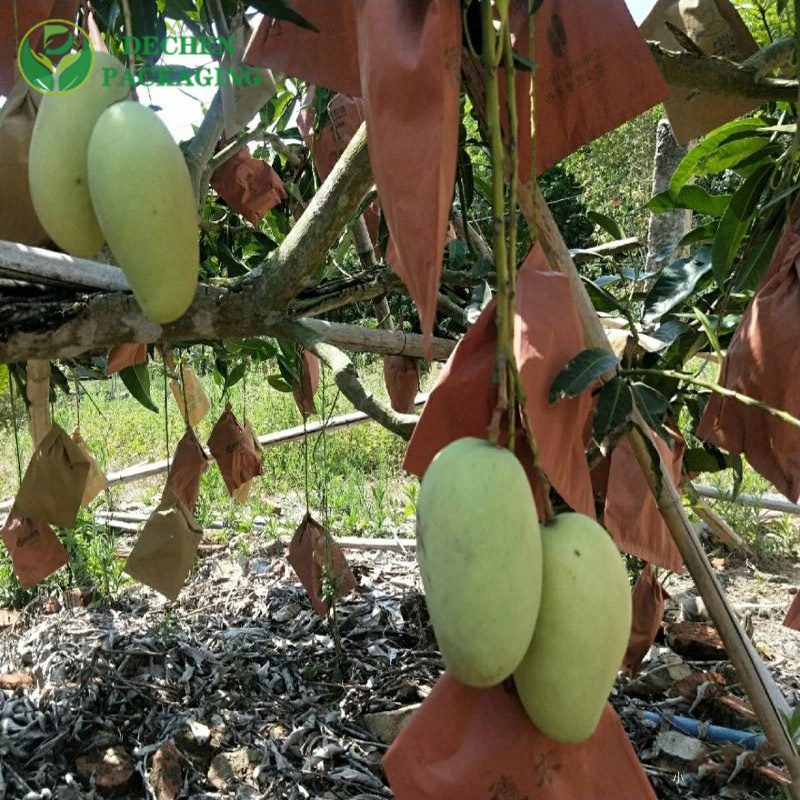 What are fruit protection bags?