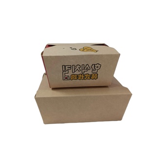Insulated Shipping Boxes Take Away Food Packaging Lunch Box For Frozen Food