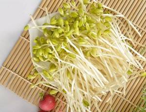 China Soybean Milk Sprouting Soybean <strong>Different</strong> <strong>Size</strong> Can Choose Green <strong>Mung</strong> <strong>Bean</strong> - Product Image 2