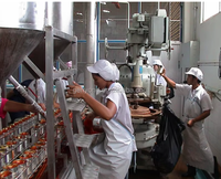 Machines de traitement de poisson en conserve automatiques de haute qualité