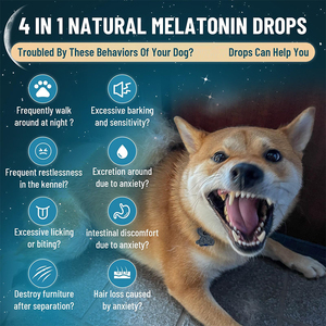 Melatonina para Perros Pequeños, Medianos y Grandes, Ayuda para Dormir, Alivio del Estrés y la <span class=keywords><strong>Ansiedad</strong></span>, Ayuda para la Calma de Cachorros y Perros - Product Image 4