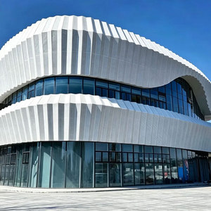 Panneaux de mur-rideau en aluminium contemporains à double courbure, surface anodisée, anti-corrosion, pour applications extérieures de bâtiments - Product Image 2