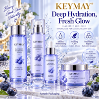 Set Perawatan Kulit Asam Hialuronat Blueberry Korea Niacinamide Melembapkan Mengencangkan Label Pribadi OEM ODM Produsen Grosir