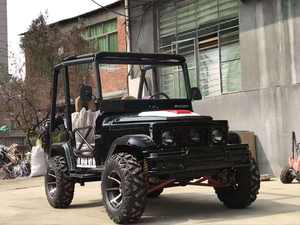 Vehículo Utilitario Todoterreno Resistente para Granjas Pequeñas y Desiertos, Buggy con Motor de Gas/GLP, 2/4/6 Asientos, 2 Años de Garantía - Product Image 5