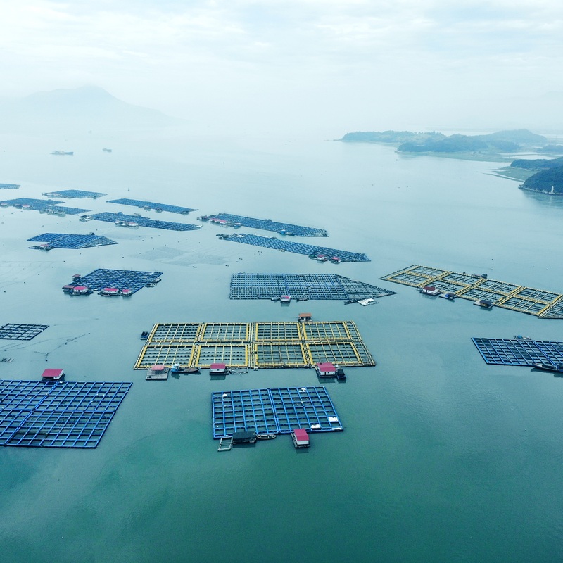 Supply Fishing Rafts Ocean Offshore Aquaculture