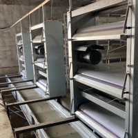Vente chaude : Équipement de cage galvanisé à chaud entièrement automatique à 3 niveaux en forme de H pour l'élevage de poulets de chair, destiné au Moyen-Orient