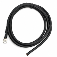 Câble d'alimentation pour onduleur de batterie OEM avec borne annulaire pour équipement BESS