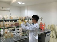 Agent de soufflage d'eau, mélange de polyols pour mousse de polyuréthane pulvérisée basse densité