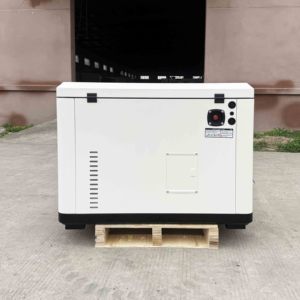 <strong>Generac</strong> <strong>Generator</strong> 12kw 15kw 17kw 18kw 20kw LPG <strong>Generator</strong> Natural Gas <strong>Generator</strong> for <strong>House</strong> Backup OEM Manufacturer - Product Image 3