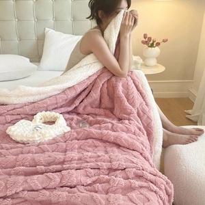 Chăn nhung taffeta 100% polyester thêu họa tiết trơn, kiểu dáng đơn giản, dùng trang trí nhà cửa, phòng khách hoặc phòng ngủ, thích hợp cho mùa thu đông. - Product Image 6