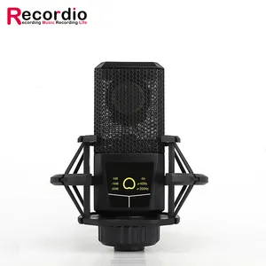 Gam-240 Recordio Unidirectionele Condensator Mic 5V Geluidsopname Dynamische Condensator Studio Microfoon