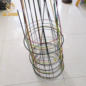 Cage grimpante à cerisier, cage ronde, fleur de tomate - Product Image 4