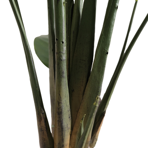 Fabricant <span class=keywords><strong>d</strong></span>'arbres artificiels de type Traveler's Tree, 90 cm, en PE, plantes artificielles de luxe, bonsaïs de haute qualité, résistants aux intempéries, écologiques et durables - Product Image 4