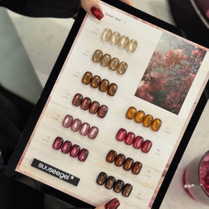 Набор гель-лаков «Кошачий глаз» (24, 20, 16, 10 цветов), красный, голографический, акриловый, с демонстрационной картой, снимаемый, сияющий, для ногтей - Product Image 3