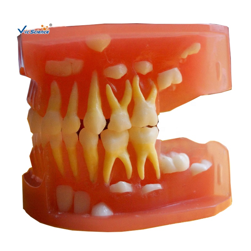 OPTO-EDU E17.8225 разница Низкая температура Двигатель Стирлинга Модель-тележка