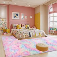 Grenzüberschreitend Beliebter Nordischer Instagram-Stil Wohnzimmer Schlafzimmer Vollflächiger Maschinenwaschbarer Langflor-Plüsch Niedlicher Mädchen-Teppich