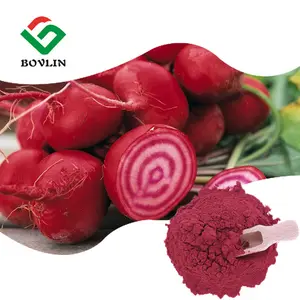 Bulk Price Beetroot Powder Dried Red Beet Root Extract Juice Powder For Food& Beverage