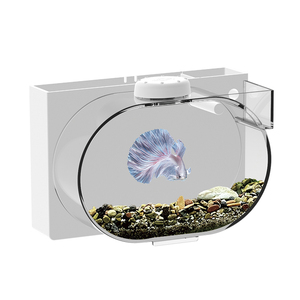 <strong>Tabletop</strong> Viewing <strong>Small</strong> <strong>Aquarium</strong> Simple <strong>Small</strong> Fish Breeding tank Transparent Fish tank Fish <strong>Aquarium</strong> tank <strong>Aquariums</strong> - Product Image 5