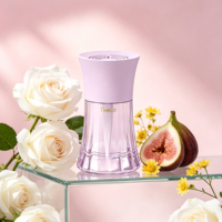 Vente en gros OEM, désodorisant liquide pour voiture 100 ml, parfum automobile de qualité supérieure, parfum longue durée, arôme intérieur