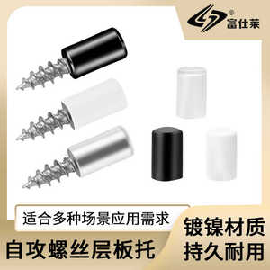 Self Tapping <b>Screw</b> Shelf Support With <b>Nylon</b> Cap For Cabinet Wardrobe Storage Rack Glass Shelf - Product Image 3