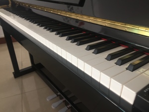 Wholesale China 88-key Digital Piano with Authentic Grand Piano Touch - Product Image 4