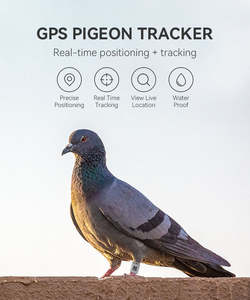 Traceur <span class=keywords><strong>GPS</strong></span> pour oiseaux, chats et chiens avec suivi en temps réel, compatible Android, pour extérieur, avec anneau de patte - Product Image 4