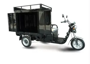 Triciclo De Carga Prijs Lading Vrachtwagen Tuktuk Benzine Lading Driewieler Motor Benzine Voor Volwassenen Gemotoriseerd