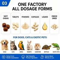 Gel de Apoyo Cognitivo para Mascotas OEM ODM, para Perros y Gatos, Salud Cerebral, Apoyo a la Memoria, Multivitamínico, Suplemento Nutricional con L-Tirosina