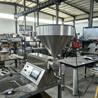 Machine de remplissage quantitative personnalisable en acier inoxydable 304 avec pompe à rotor pour beurre de cacahuète et sauce salsa