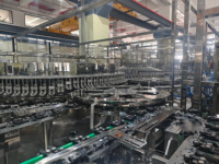 Ligne intégrée stérile BFS (Blow-Fill-Seal) pour liquides d'infusion : Salin normal et glucose – Projet de fabrication clé en main