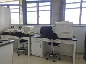 Materia Prima in Polvere di Probiotici Bifidobacterium Adolescentis BA6 ad Alta Potenza - Product Image 4