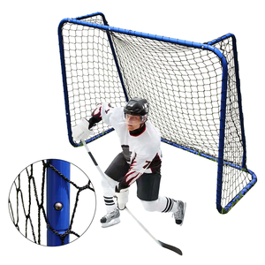 DKS Portable Double Frame Youth <strong>Ice</strong> <strong>Hockey</strong> Net Indoor/Outdoor Goal with Durable <strong>Gate</strong> Set Blue Lightweight Foldable - Product Image 1